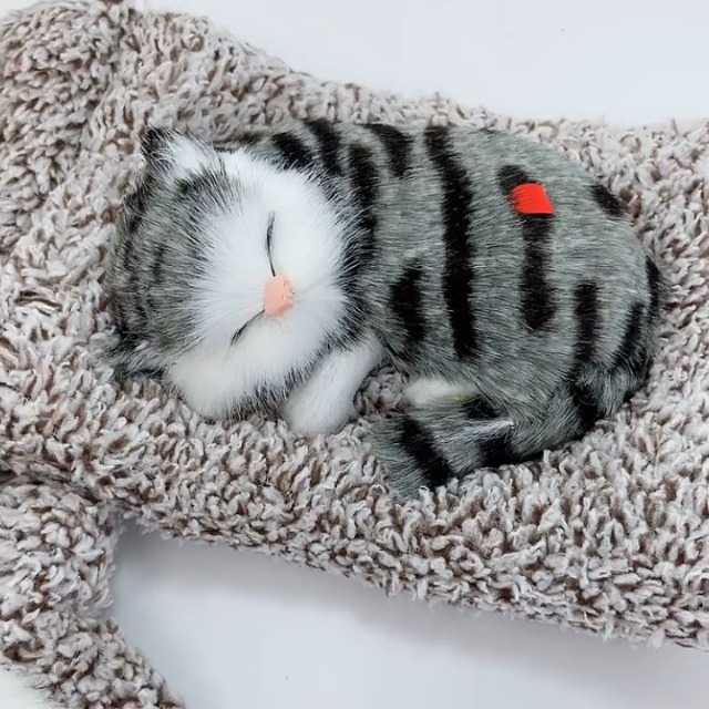 Watch Cute Sleeping Cat Plush Toy on Amazon Live